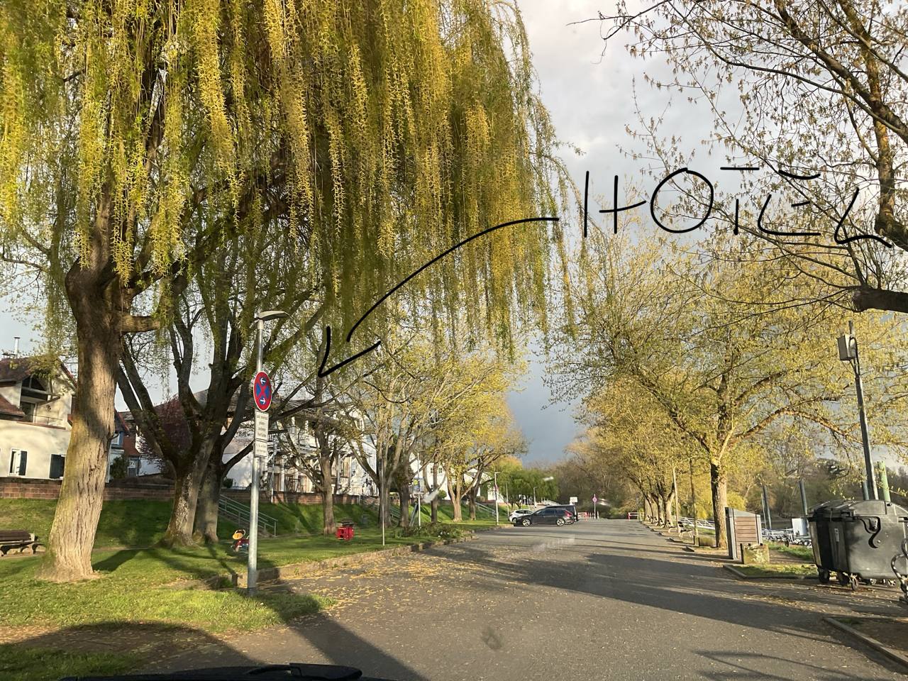 image3.jpg